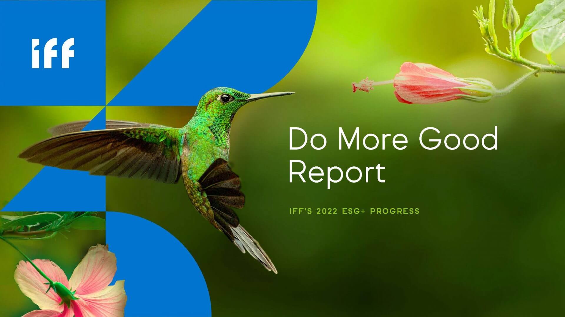 2022-iff-esg-report-r7